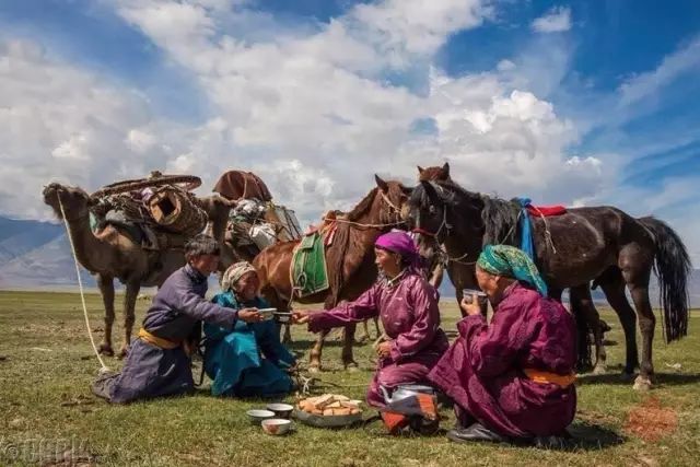 蒙古草原夏季美景图集，太美了 第24张