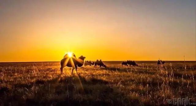 蒙古草原夏季美景图集,太美了 第25张 蒙古草原夏季美景图集,太美了 第25张