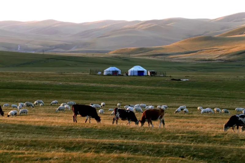 现代理论解释蒙古人游牧文化与智慧 第5张