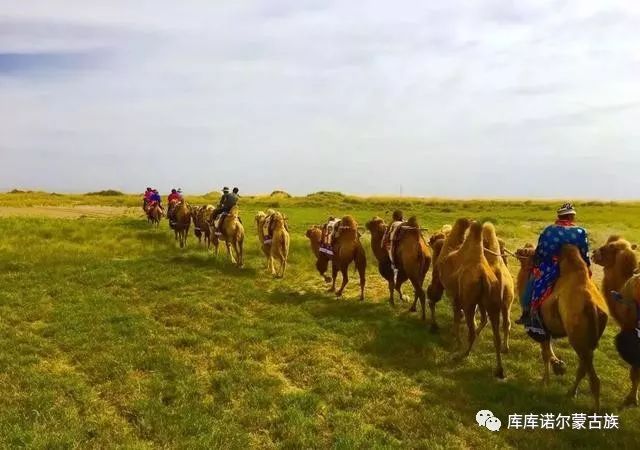 阿尔泰蒙古语系之裕固族的起源 第4张 阿尔泰蒙古语系之裕固族的起源 第4张
