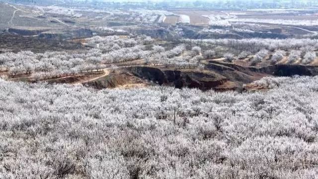 朝阳人熟悉的这些地名竟然都是蒙古语 第6张 朝阳人熟悉的这些地名竟然都是蒙古语 第6张