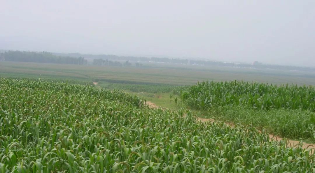 朝阳人熟悉的这些地名竟然都是蒙古语 第9张 朝阳人熟悉的这些地名竟然都是蒙古语 第9张