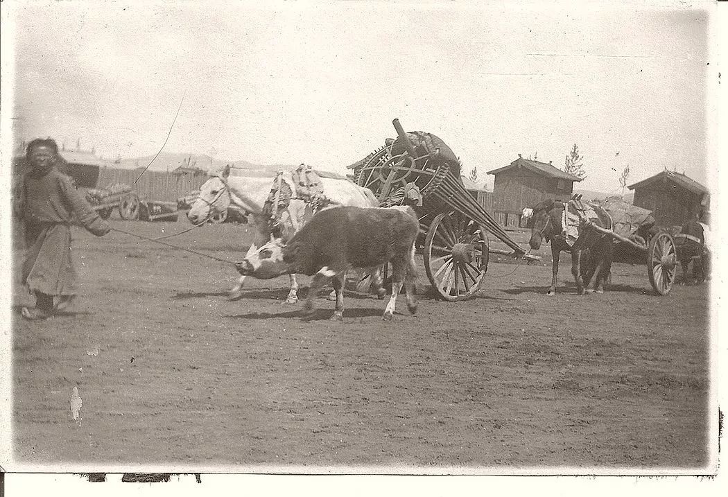 【蒙古影像】1925年的蒙古老照片 第6张