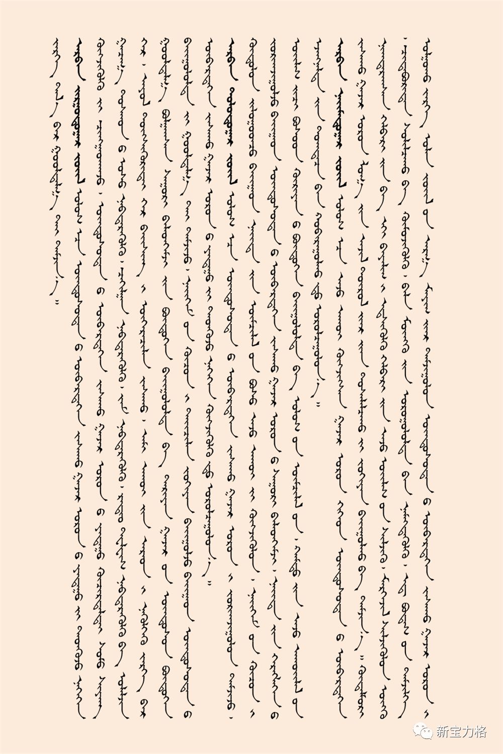 国务院实施中华人民共和国民族区域自治法若干规定（蒙文） 第9张