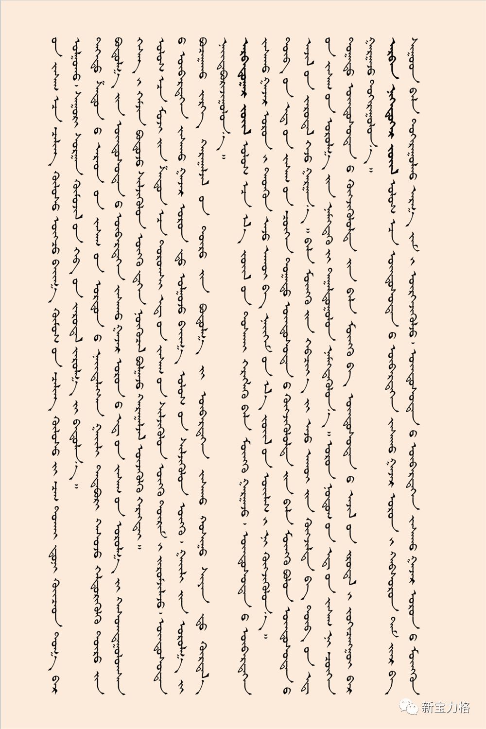 国务院实施中华人民共和国民族区域自治法若干规定（蒙文） 第6张