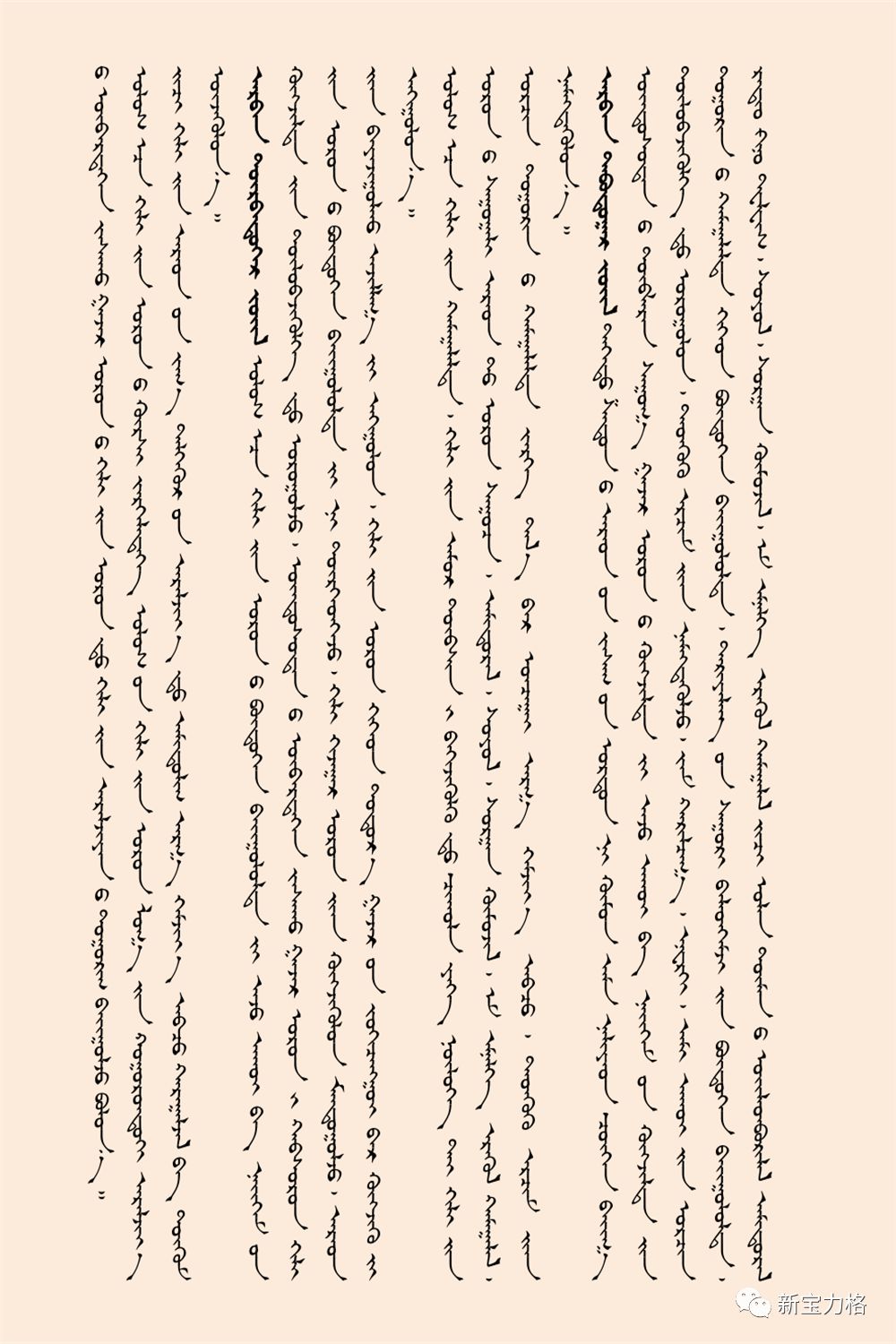 国务院实施中华人民共和国民族区域自治法若干规定（蒙文） 第8张