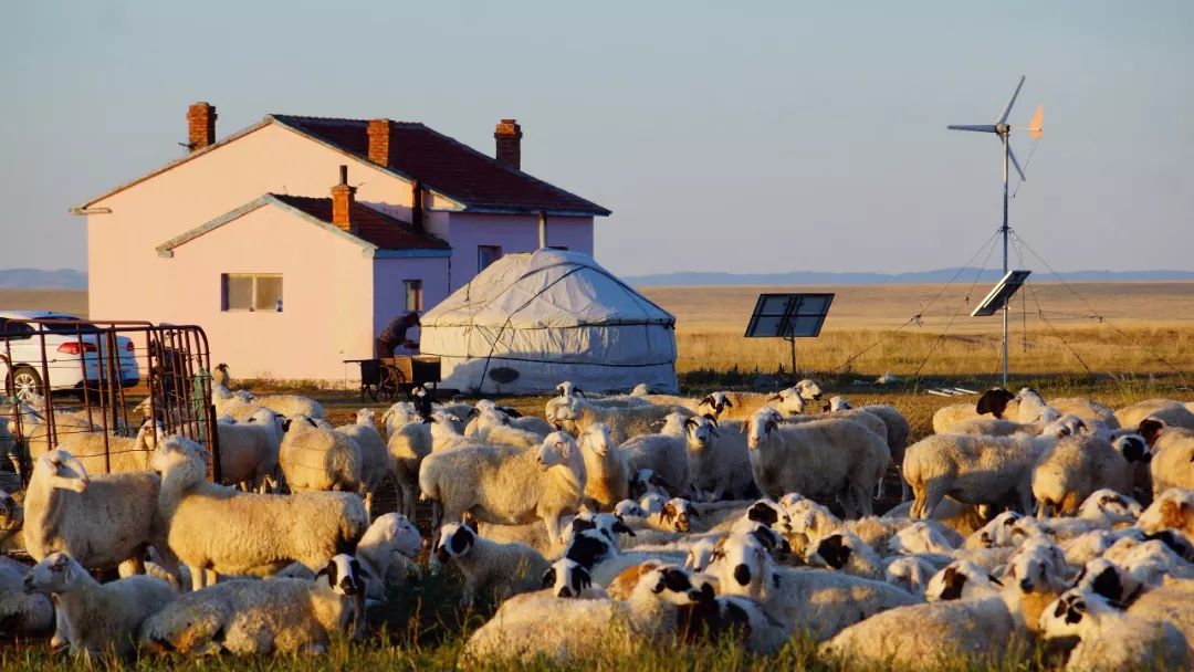 草原:告别世外桃源 第3张 草原:告别世外桃源 第3张