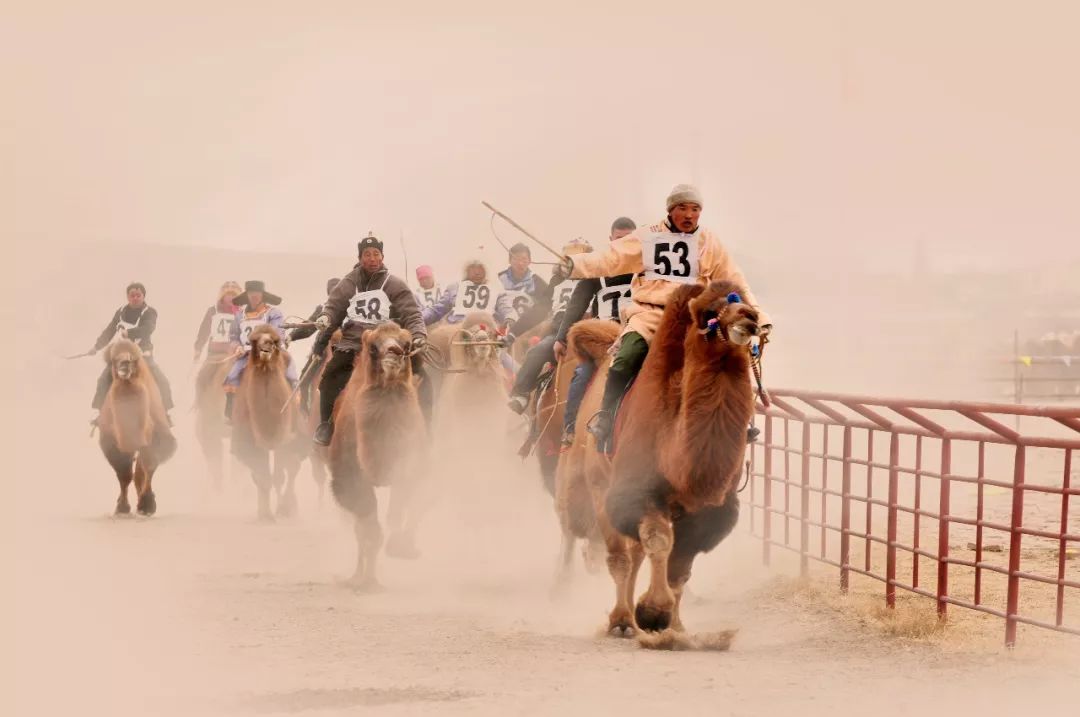 草原:告别世外桃源 第8张 草原:告别世外桃源 第8张