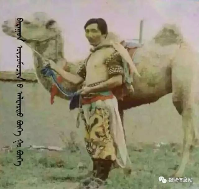 【蒙古图片】搏克老照片…… 第6张 【蒙古图片】搏克老照片…… 第6张