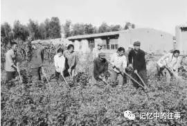 【难忘岁月】追忆通辽老照片 第15张 【难忘岁月】追忆通辽老照片 第15张