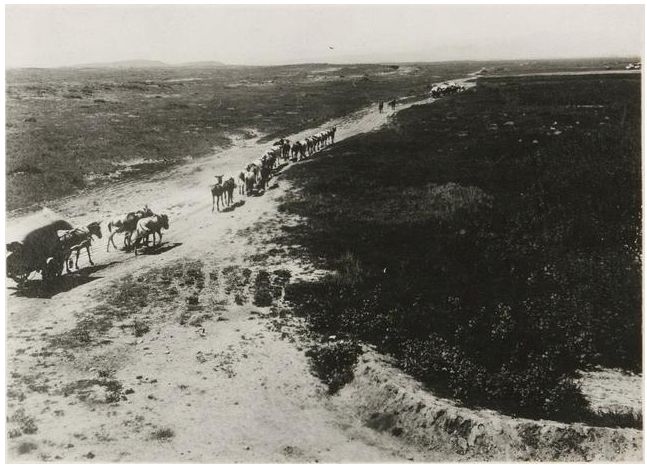 1924年的内蒙古通辽,老照片记录的是故事! 第11张 1924年的内蒙古通辽,老照片记录的是故事! 第11张