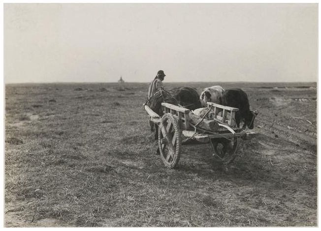 1924年的内蒙古通辽,老照片记录的是故事! 第7张 1924年的内蒙古通辽,老照片记录的是故事! 第7张