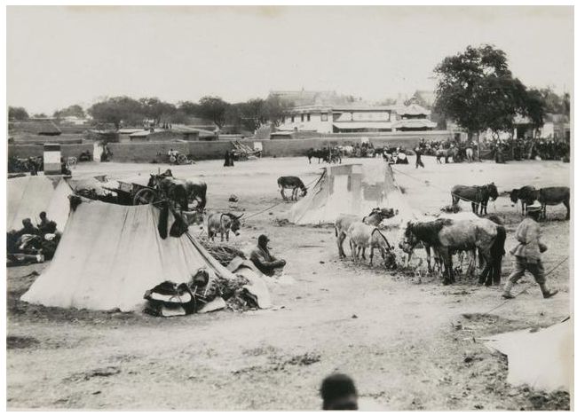 1924年的内蒙古通辽，老照片记录的是故事！ 第30张