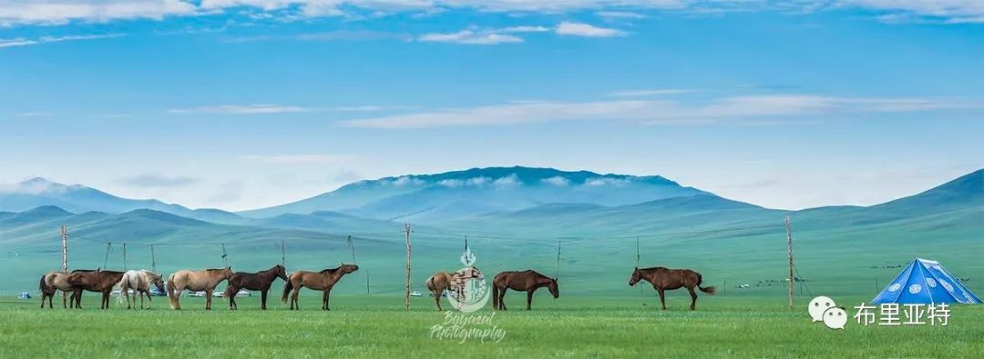 到了蒙古草原上，本身就活成了诗 第2张