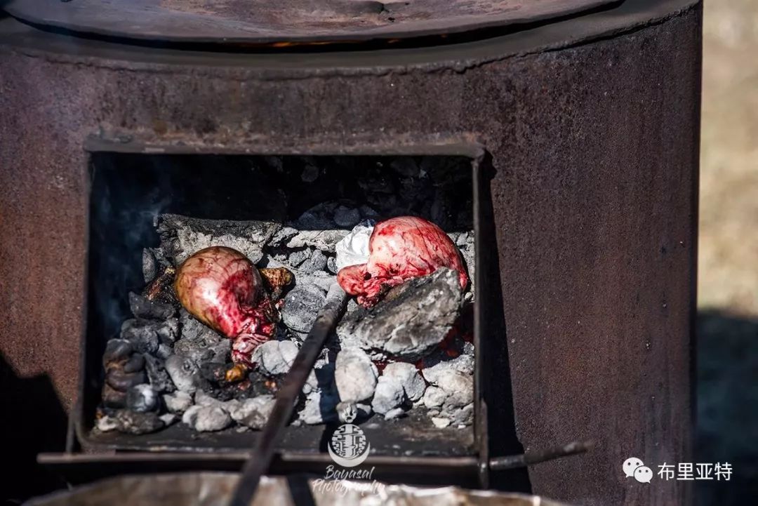到了蒙古草原上，本身就活成了诗 第6张