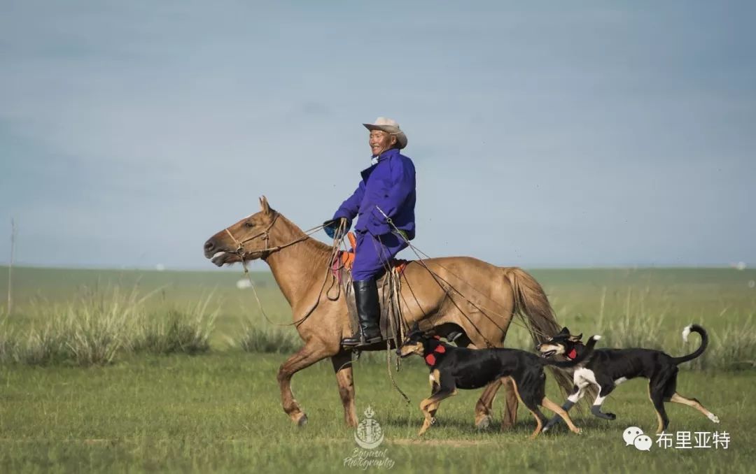 到了蒙古草原上，本身就活成了诗 第3张