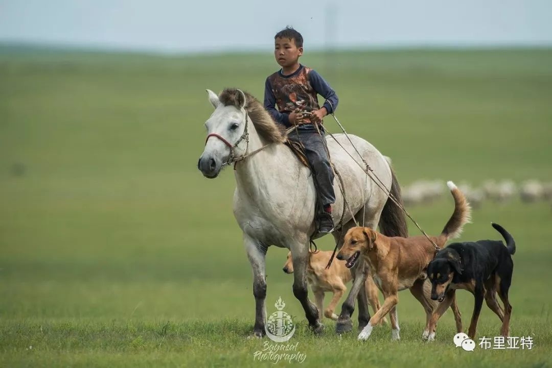 到了蒙古草原上，本身就活成了诗 第10张