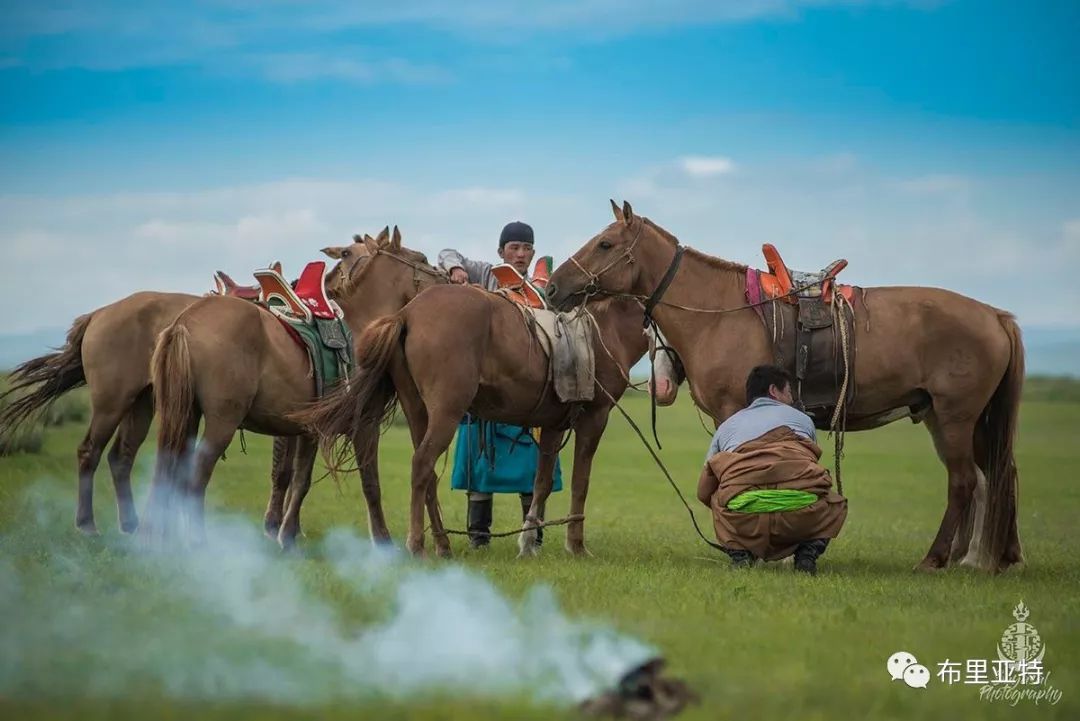 到了蒙古草原上，本身就活成了诗 第7张