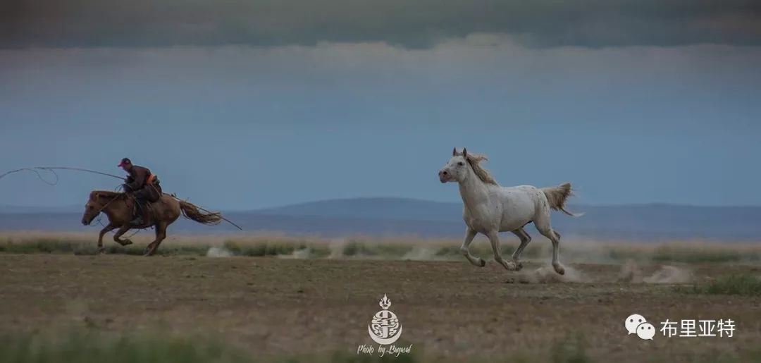 到了蒙古草原上，本身就活成了诗 第16张