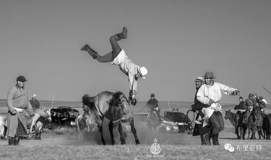 到了蒙古草原上，本身就活成了诗 第13张