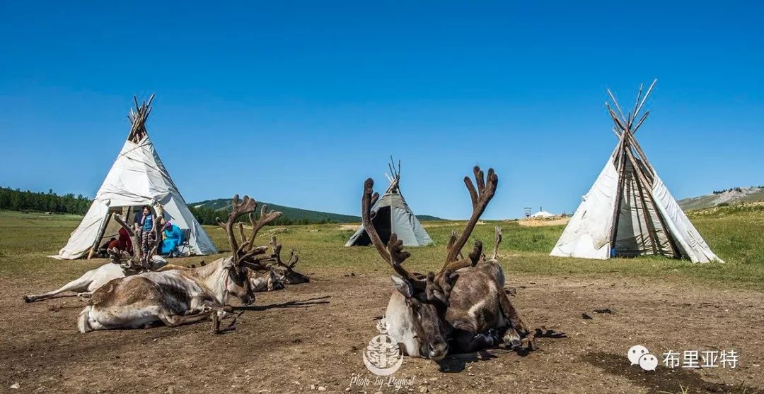 到了蒙古草原上，本身就活成了诗 第14张