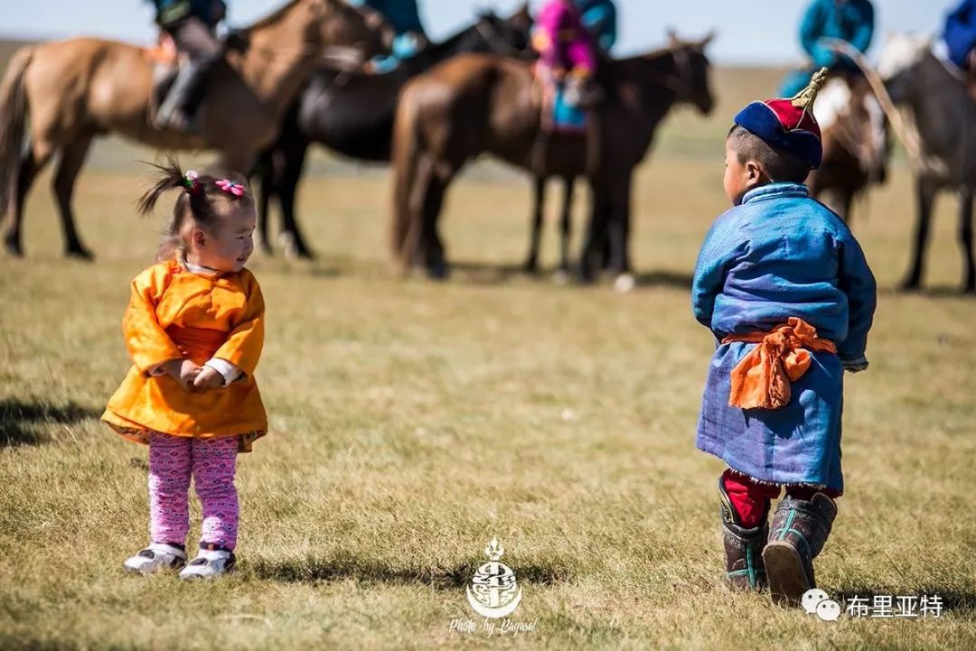 到了蒙古草原上，本身就活成了诗 第15张