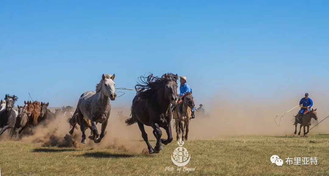 到了蒙古草原上，本身就活成了诗 第17张