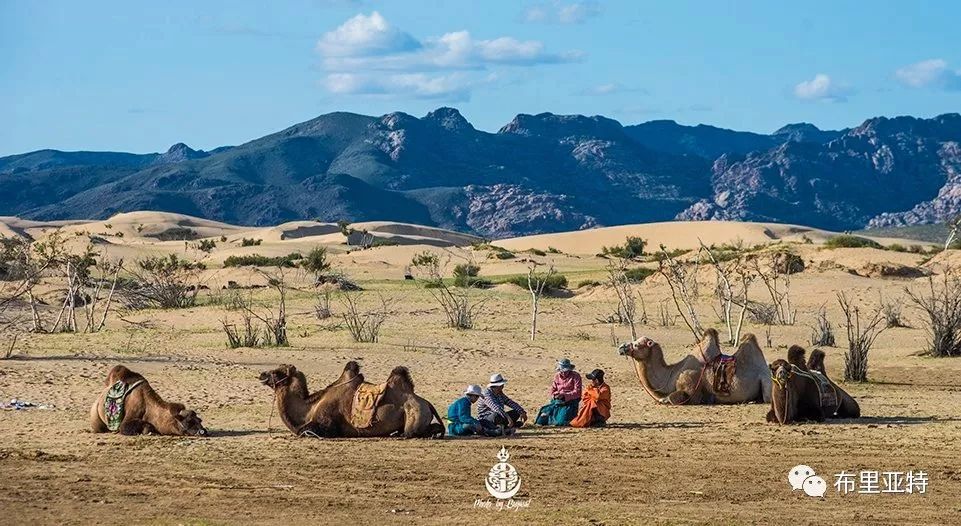 到了蒙古草原上，本身就活成了诗 第18张