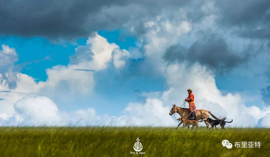 到了蒙古草原上，本身就活成了诗 第20张