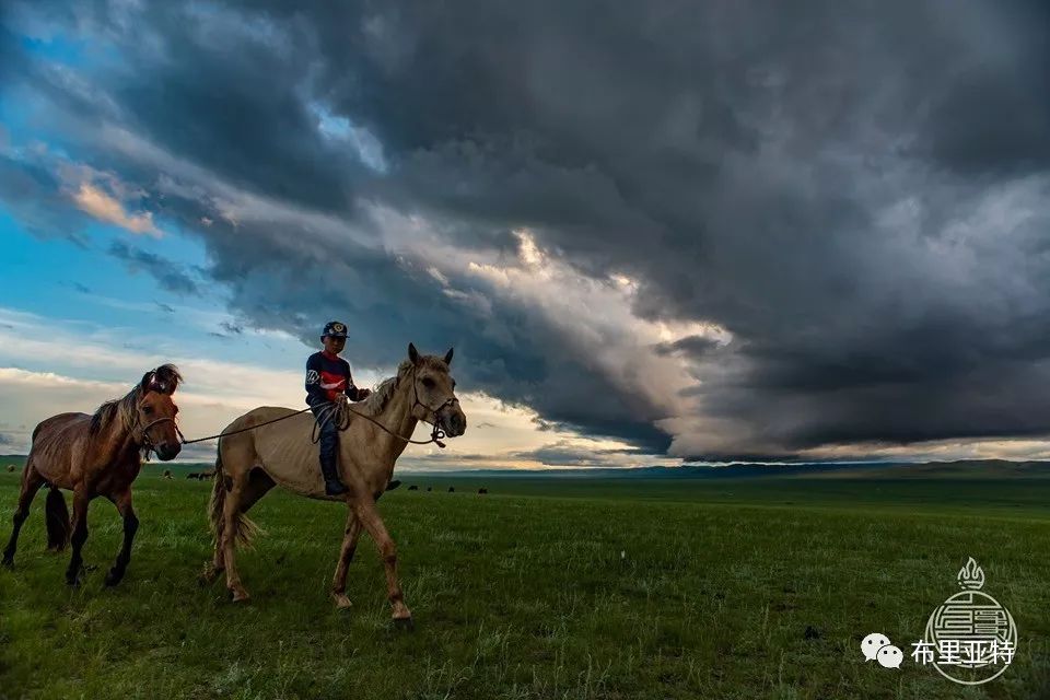 到了蒙古草原上，本身就活成了诗 第25张