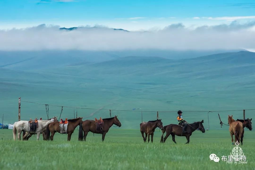到了蒙古草原上，本身就活成了诗 第22张