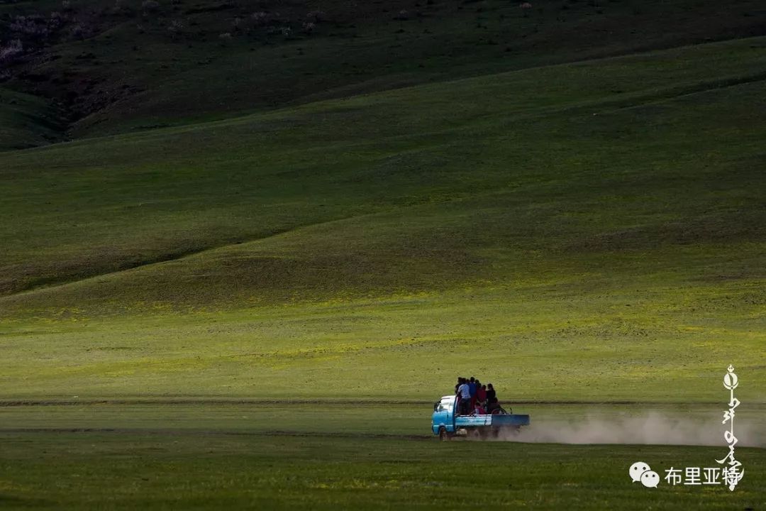 到了蒙古草原上，本身就活成了诗 第29张