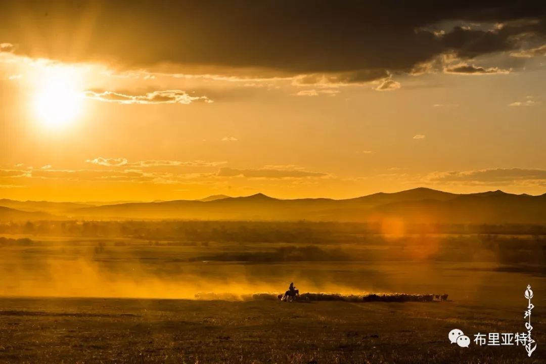 到了蒙古草原上，本身就活成了诗 第28张