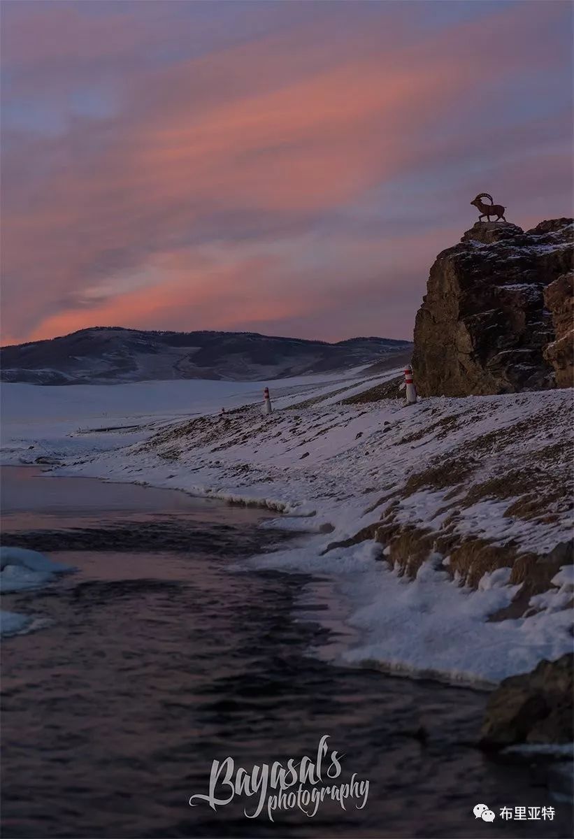 到了蒙古草原上，本身就活成了诗 第34张