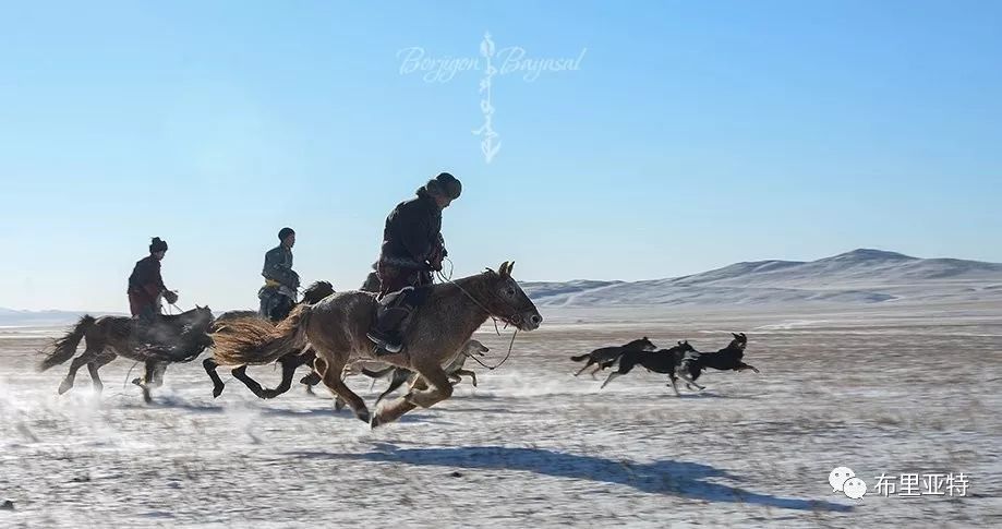 到了蒙古草原上，本身就活成了诗 第35张