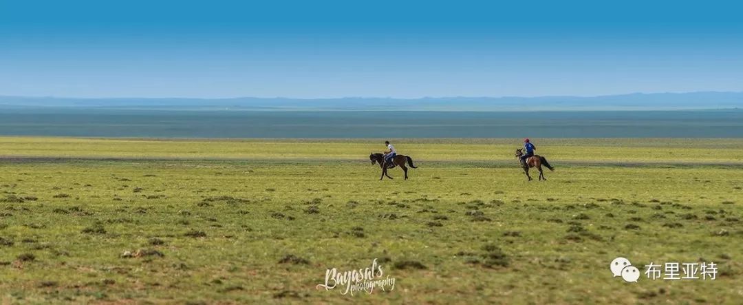 到了蒙古草原上，本身就活成了诗 第41张