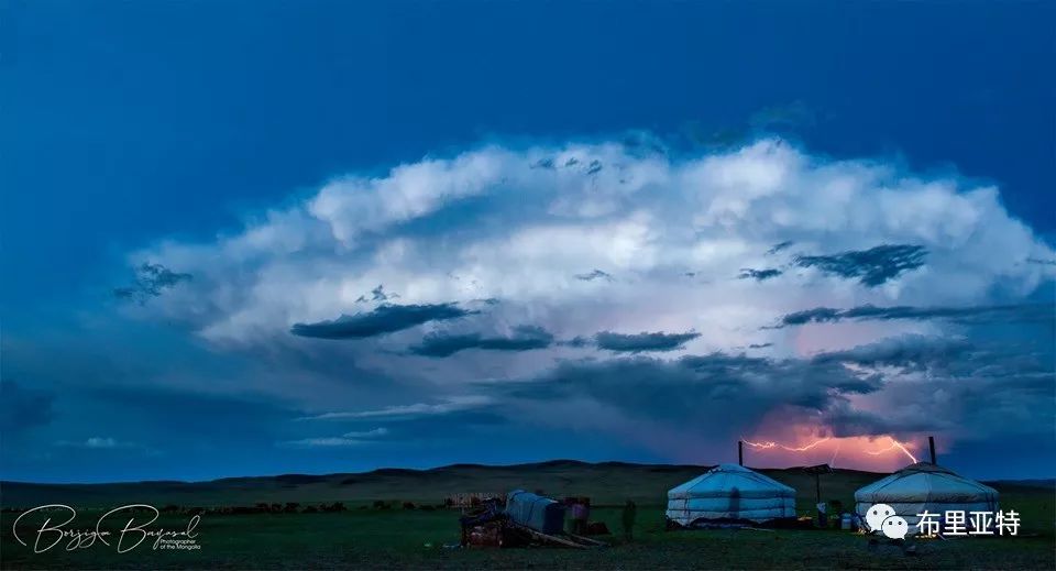 到了蒙古草原上，本身就活成了诗 第47张