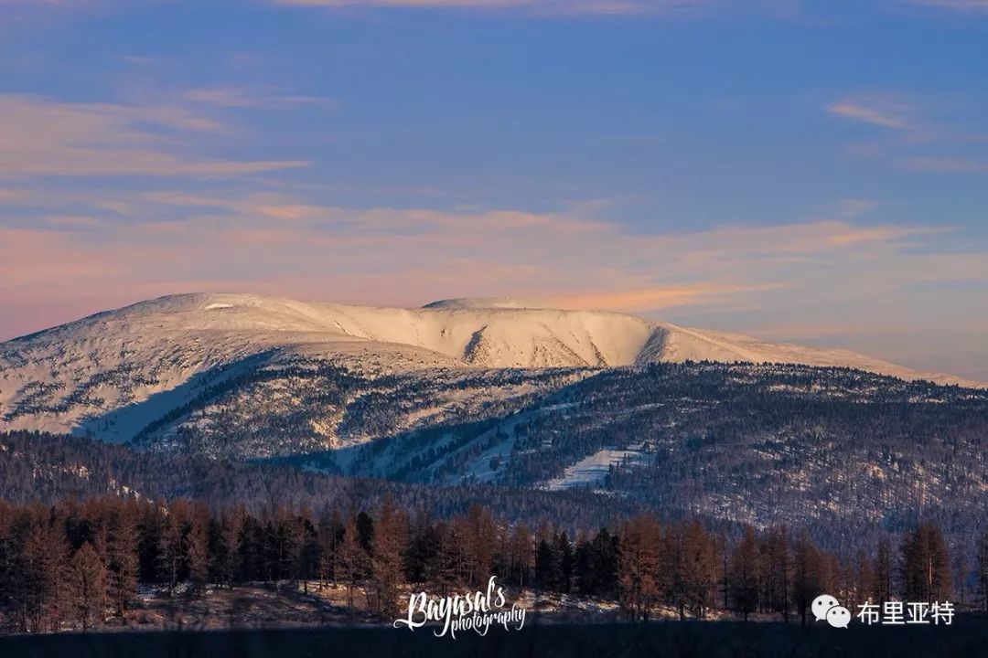 到了蒙古草原上，本身就活成了诗 第44张
