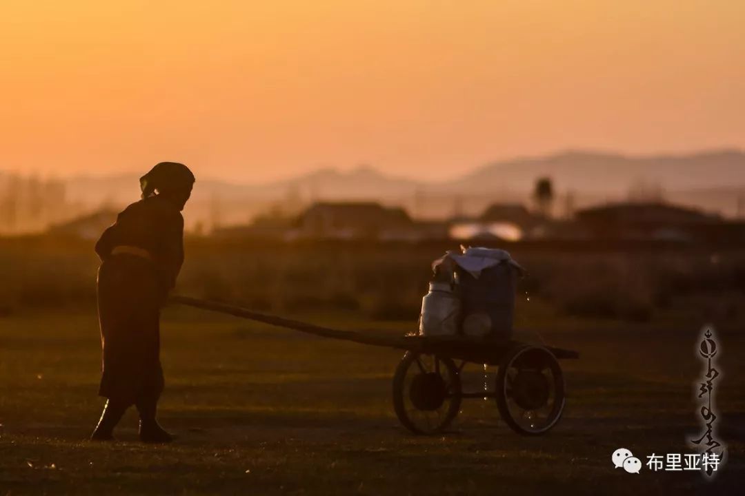 到了蒙古草原上，本身就活成了诗 第46张