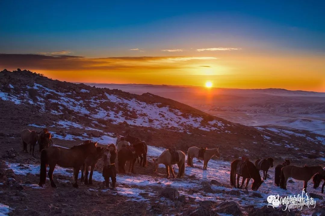 到了蒙古草原上，本身就活成了诗 第45张
