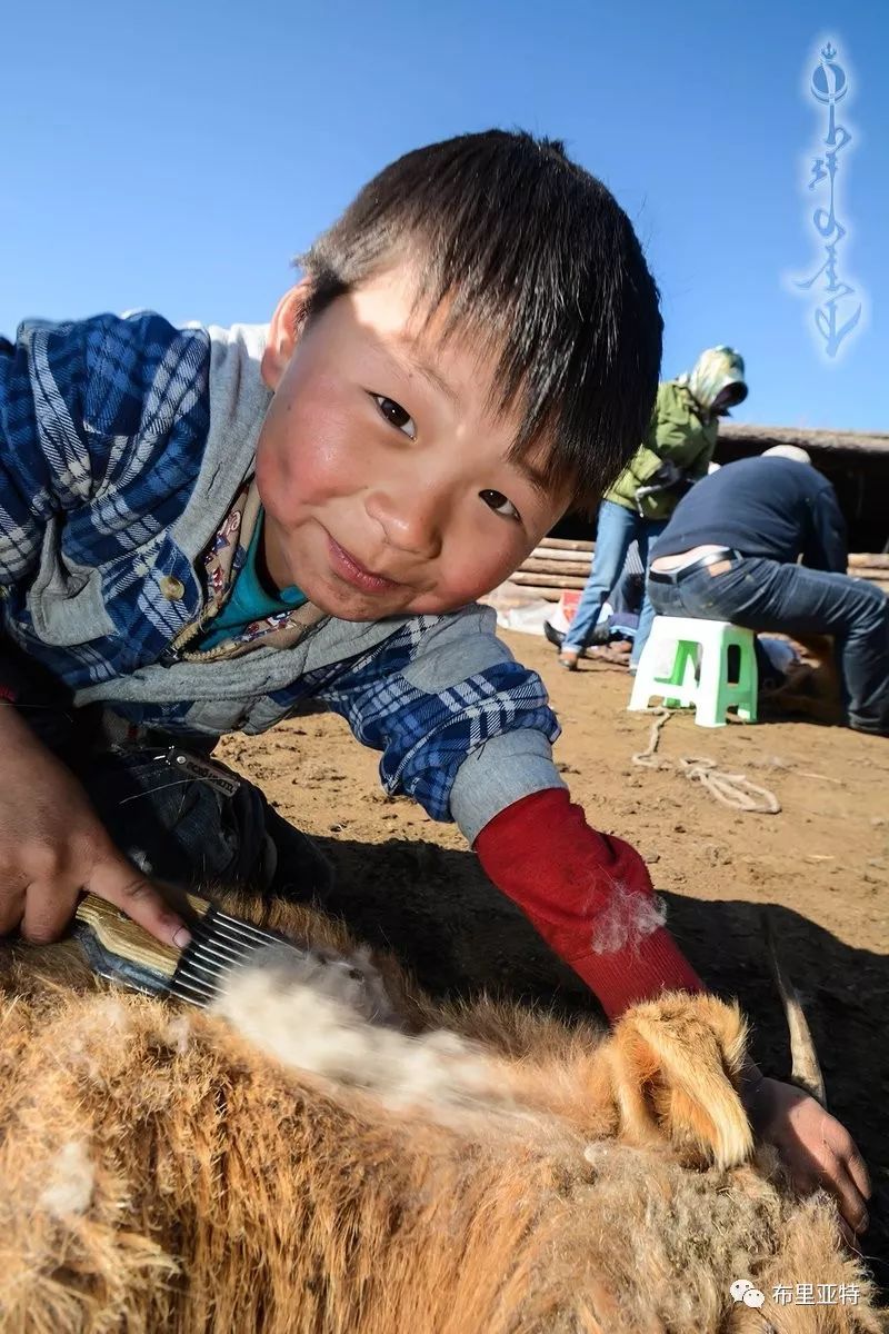 到了蒙古草原上，本身就活成了诗 第52张