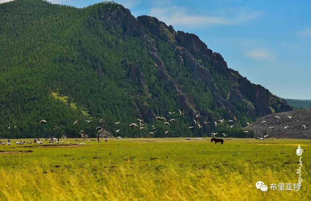 到了蒙古草原上，本身就活成了诗 第56张