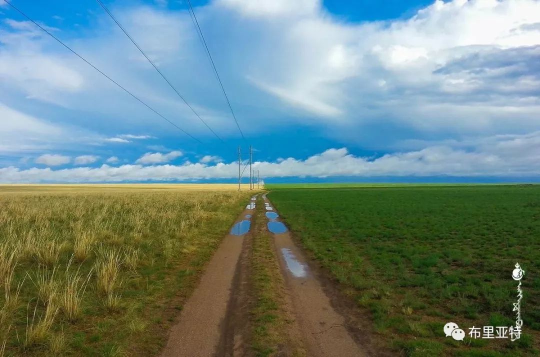 到了蒙古草原上，本身就活成了诗 第55张
