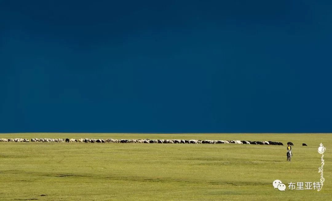 到了蒙古草原上，本身就活成了诗 第58张