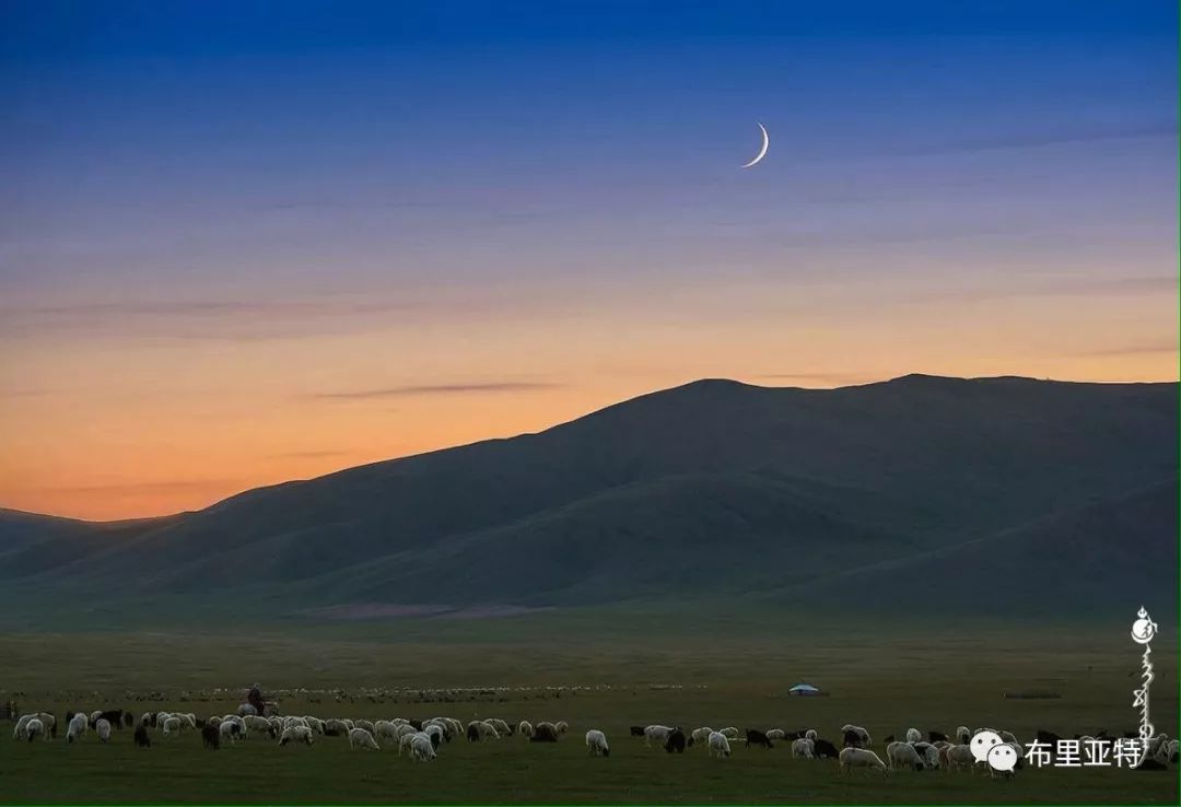 到了蒙古草原上，本身就活成了诗 第57张