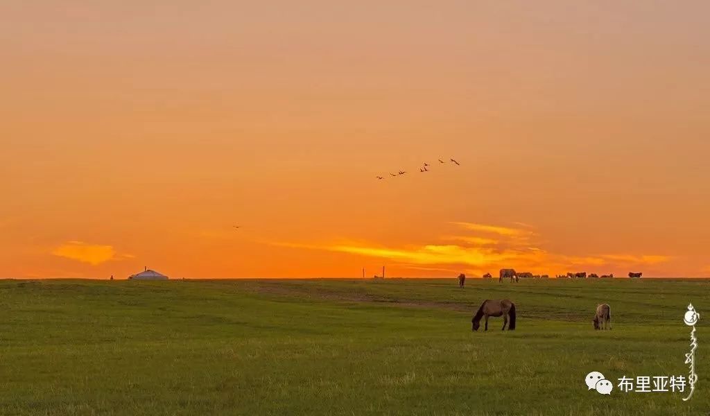 到了蒙古草原上，本身就活成了诗 第62张