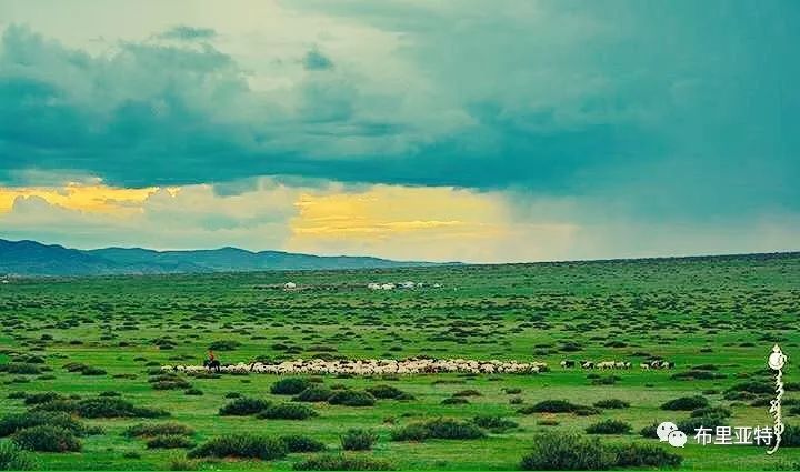 到了蒙古草原上，本身就活成了诗 第61张
