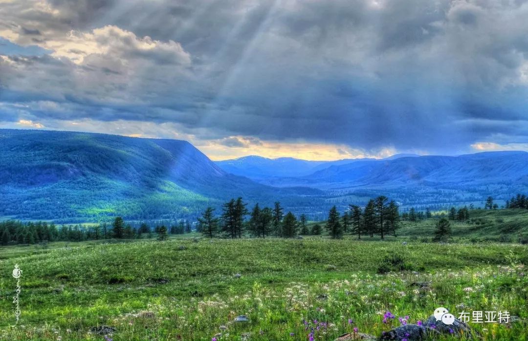 到了蒙古草原上，本身就活成了诗 第60张