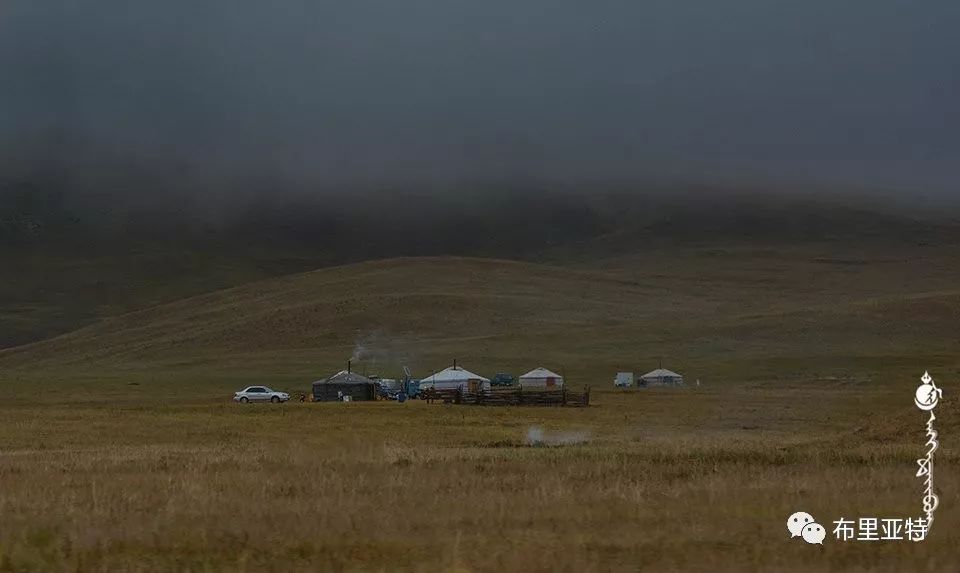 到了蒙古草原上，本身就活成了诗 第64张