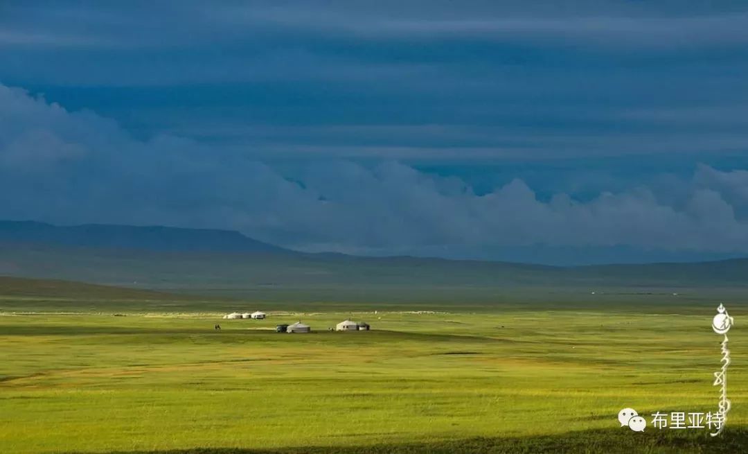 到了蒙古草原上，本身就活成了诗 第66张